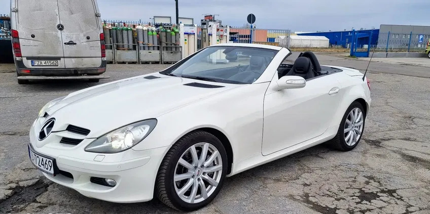 samochody osobowe Mercedes-Benz SLK cena 44900 przebieg: 188000, rok produkcji 2007 z Żary